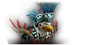 Akil'zon